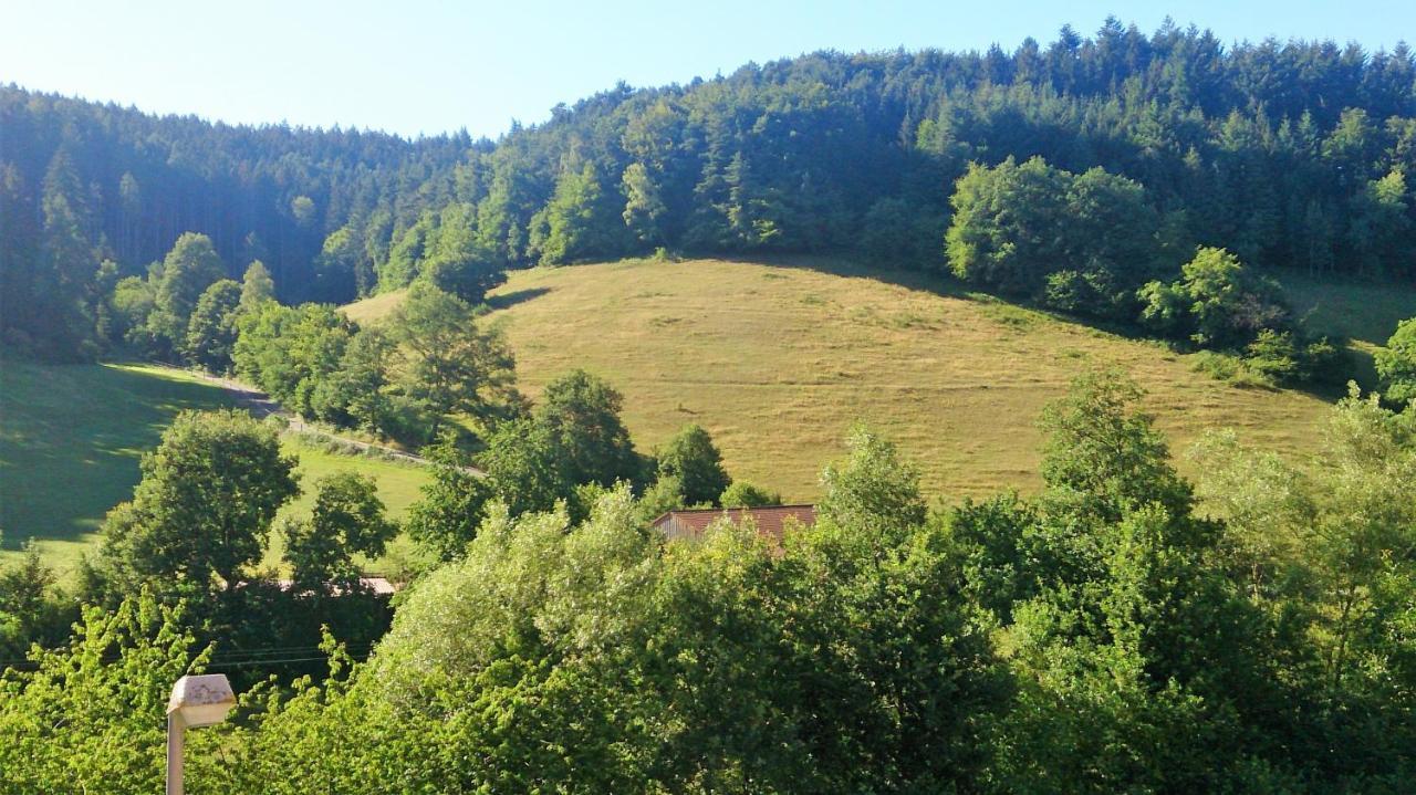 Hotel Gasthof Zur Krone Oberzent Esterno foto